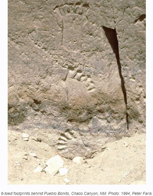 世界各地の古代文明に6本指の表現が多い謎! 巨人伝説と関係か?の画像3