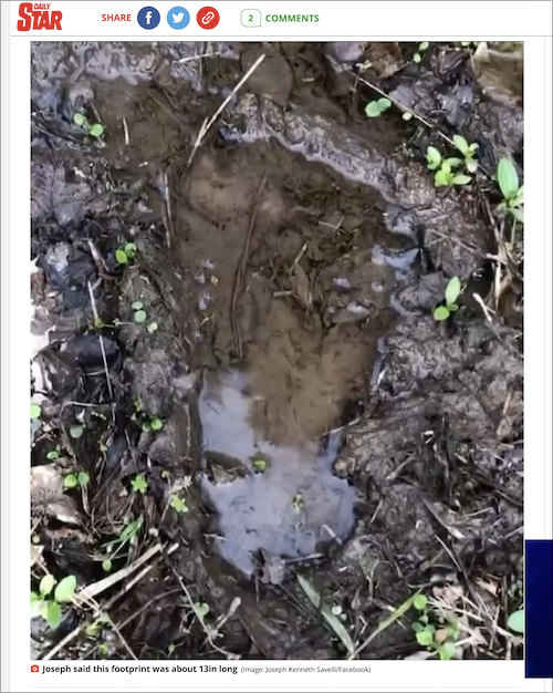 UMAビッグフット一家の足跡を研究団体が発見! 次々判明する衝撃事実の画像1