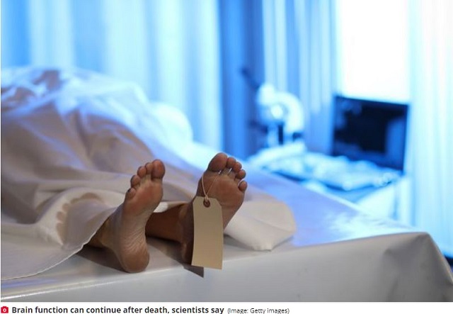 臨死体験者を襲う「死の5段階」とは? デジャヴの原因、生まれ変わりの真実も… 識者らの最新見解!の画像3