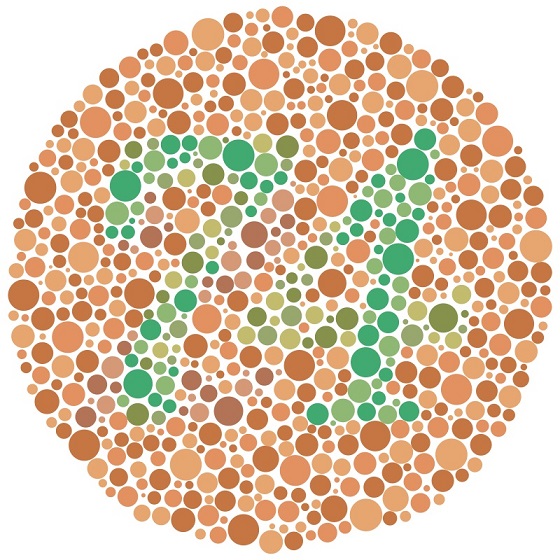 人口の10%が色覚を失った島の秘密とは? 衝撃的原因と250年前の悲しい真実の画像2
