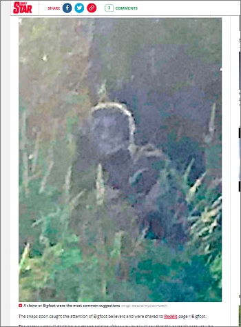 幽霊かUMAか殺人鬼か!? こちらを睨む不気味な影、おぞましい形相に世界が騒然!の画像2