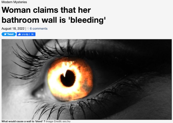 「家の壁から出血が止まらない」訴える女性の戦慄映像！ ホラー映画も顔負けの恐怖＝米の画像1