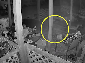 防犯カメラに映った「幽霊猫」が怖すぎる！ 軒先を駆け回って消える半透明ニャンの画像1