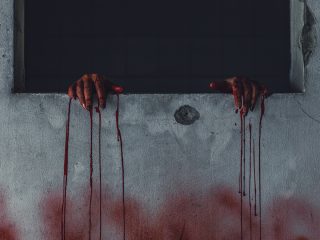「家の壁から出血が止まらない」訴える女性の戦慄映像！ ホラー映画も顔負けの恐怖＝米