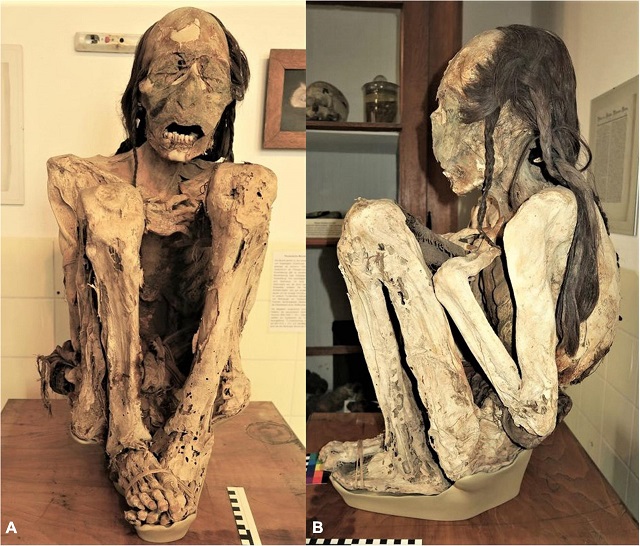 1100年前の南米のミイラ、残虐の限りを尽くして殺されていた! 最新3DCTスキャンで判明した怖すぎる最期の画像1
