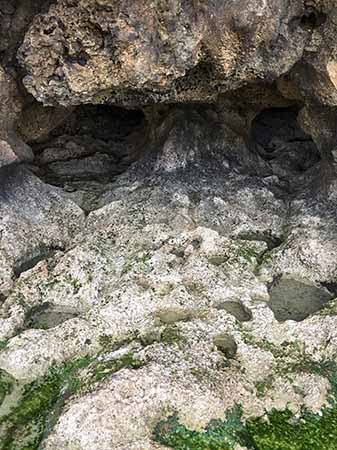 古の呪いが現代まで続く沖縄のリアリティ 怪談作家・小原猛インタビュー(後編)の画像2