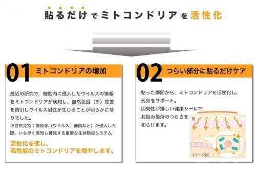 「天皇家の波動」を転写した史上最強グッズが遂に登場! オリンピアン愛用シール、邪気無効化装置…今秋のイチオシ商品3選の画像15