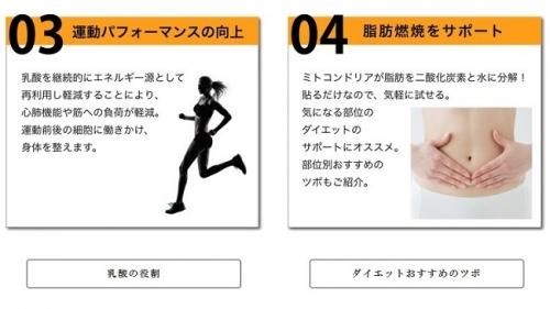 「天皇家の波動」を転写した史上最強グッズが遂に登場! オリンピアン愛用シール、邪気無効化装置…今秋のイチオシ商品3選の画像16