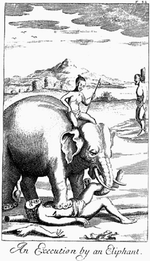 2000年続いた「象による公開処刑」の歴史 手足を1本ずつ踏み潰し、最後は…の画像3