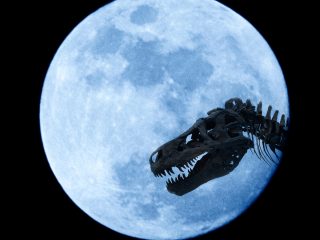 「月に恐竜の骨がある可能性」科学者が主張！ 一体なぜ？