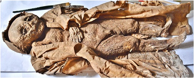 赤ん坊のミイラから驚愕の死因が判明! 肥満なのに栄養欠乏、愛されすぎた子の末路…の画像2