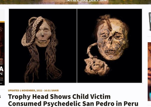 生贄の子供に幻覚剤を与えて殺害…古代アンデス文明の儀式に新たな科学的発見の画像1