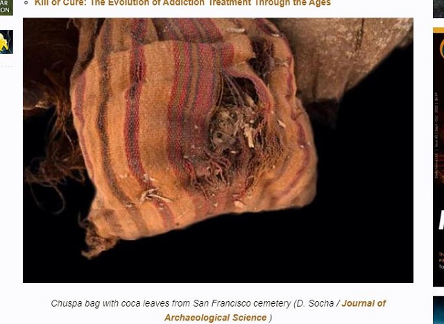 生贄の子供に幻覚剤を与えて殺害…古代アンデス文明の儀式に新たな科学的発見の画像2