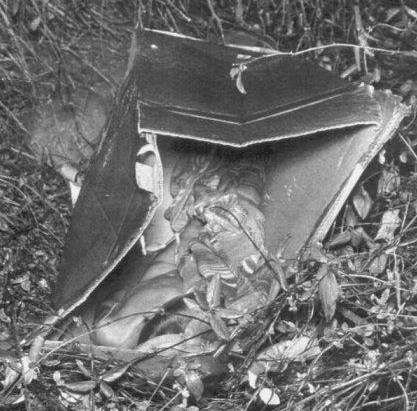 全米を震撼させた未解決殺人事件「箱の中の男の子」の身元が65年ぶりに判明!の画像2