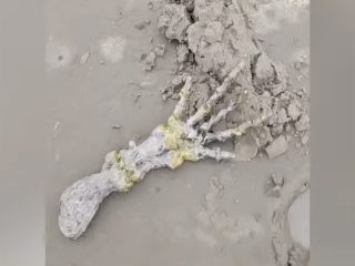 ブラジルの海岸で「宇宙人の手」を発見か？ 驚きの白骨死体の正体とは…