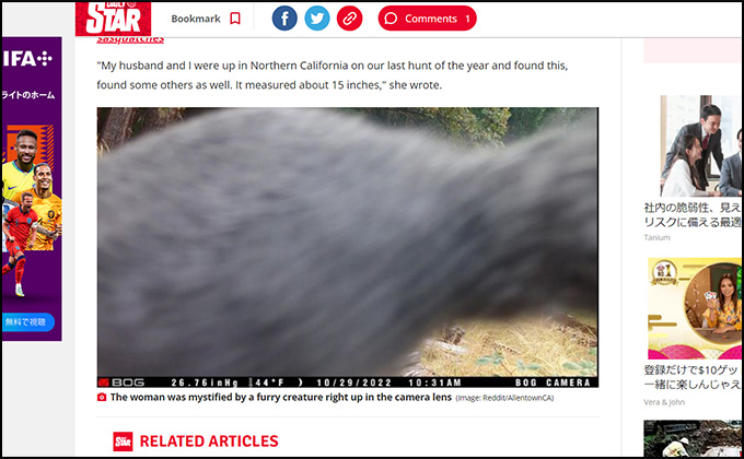 ビッグフットが私有地に侵入か? 大きな足跡と毛むくじゃらの生物が映像に収められるの画像2