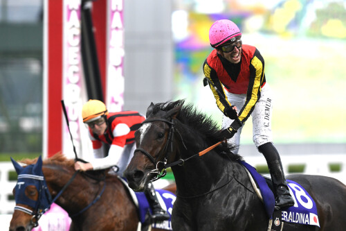JRA有馬記念「夢の一攫千金はここにある」 武豊以上の実力派!? ダービージョッキーが教える厳選馬3頭とは?の画像3
