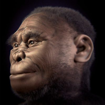 インドネシアで目撃される「小柄な人々」の謎… 現生人類とは異なるホモ・フローレシエンシスかの画像1