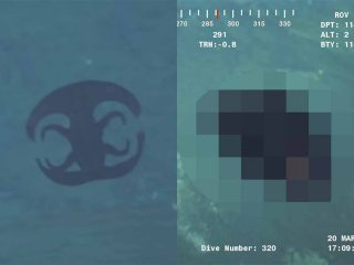 これが生き物!? 海底1000mに浮かぶ謎の紋章が突如姿を変えて… 想定外のエイリアンクリーチャーにネット騒然