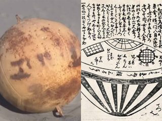 浜松市の海岸に江戸時代のUFO「虚舟」が再来？ 謎の球体に海保も「見たことがない」