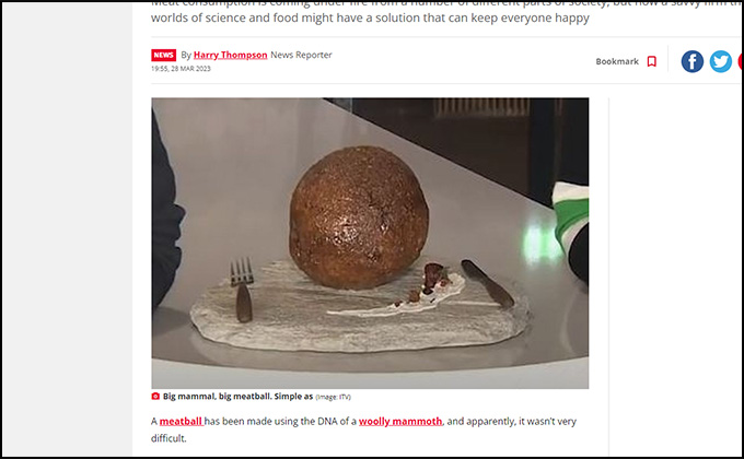 マンモスの巨大ミートボールの作成に成功! DNAから培養肉を作成、気になるお味は…?の画像2