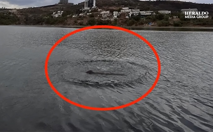 ダム湖に伝説の「恐竜UMA」が出現! 証拠写真に市役所も驚愕、警察がパトロールを開始=メキシコの画像1