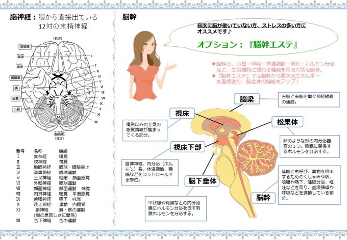 「脳と目に見えない世界の関係」を話題の悟り系霊能者が解説! 多重人格と霊障の意外な関連性も…の画像4