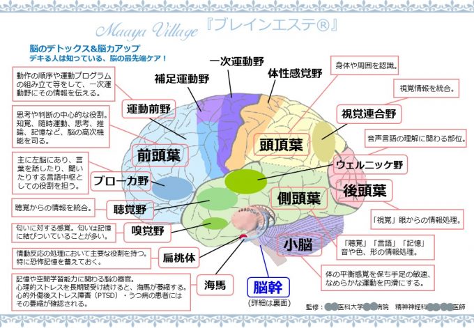 「脳と目に見えない世界の関係」を話題の悟り系霊能者が解説! 多重人格と霊障の意外な関連性も…の画像3