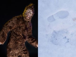 雪の上にビッグフットの巨大な足跡!? 伝説の獣人型UMAが実在する証拠か