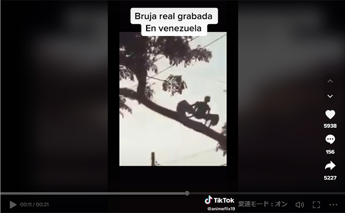 フィリピンでコウモリ型UMAが撮影される!? Twitterで大騒動、怪物の正体に迫る!の画像1