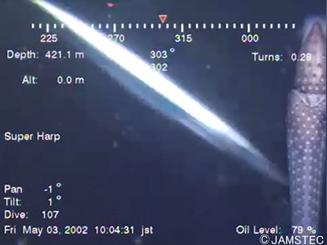 UFOが三陸沖の海中で撮影される? 深海で高速移動する発光体の謎の画像1