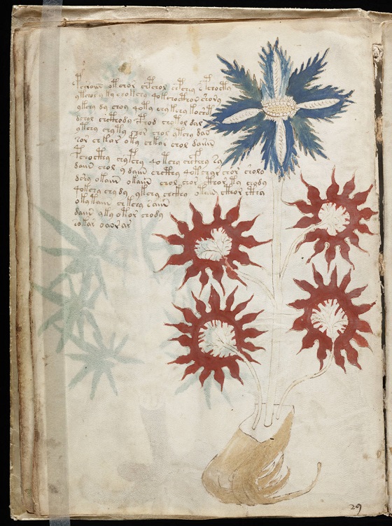 世界最大の奇書「ヴォイニッチ手稿」のルーツを辿った結果… の画像1
