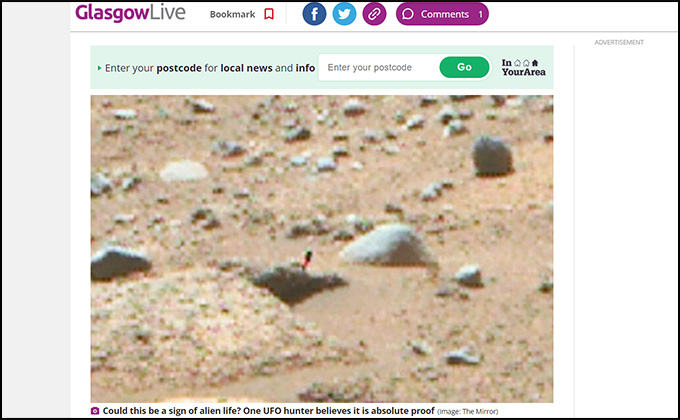 NASA火星写真に「ピンクと緑の植物」が写り込んでいた？ 「100%宇宙人は存在する」専門家が断言の画像1