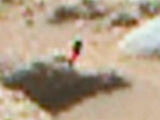 NASA火星写真に「ピンクと緑の植物」が写り込んでいた？ 「100%宇宙人は存在する」専門家が断言