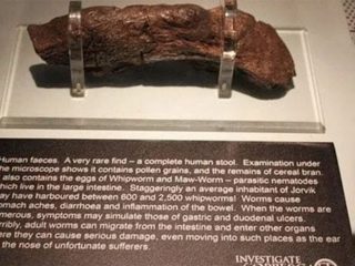 「史上最大の人糞」は9世紀バイキングが排泄！ 巨大ウンコに専門家もうっとり「宝石のような価値」