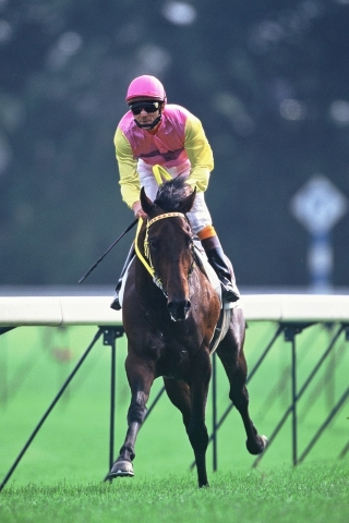 天皇賞(春)の極め穴馬を元JRAレジェンドが激推し! 「自分が乗るならこの馬でタイトルホルダーを負かす」の画像3