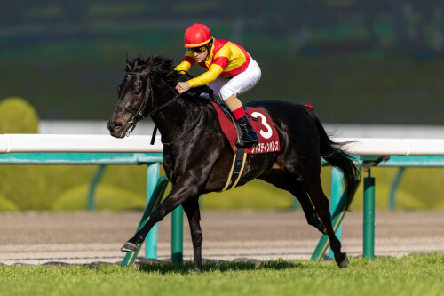JRA6週連続G1レースの見どころチェック!天皇賞(春)はタイトルホルダーの連覇に赤信号? 白毛ソダシVS二冠馬スターズオンアースも激熱!の画像3