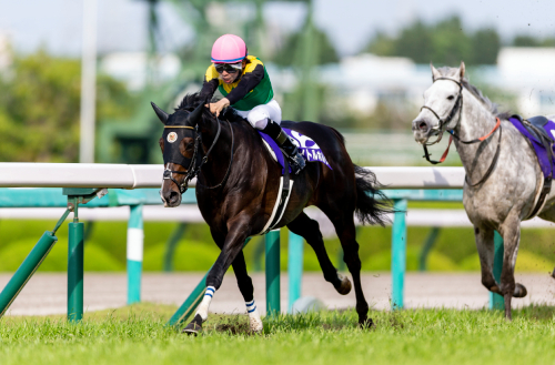 天皇賞(春)の極め穴馬を元JRAレジェンドが激推し! 「自分が乗るならこの馬でタイトルホルダーを負かす」の画像2
