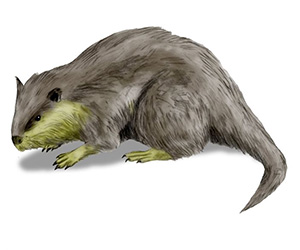 ネブラスカの巨大らせん「悪魔のコルク栓抜き」とは!? 3000万年前の超古代文明が関与? 予想外の作成者に仰天の画像2