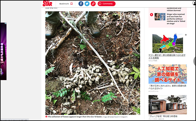 ビッグフットの糞が発見される? 真っ白で大量…=アメリカの画像2