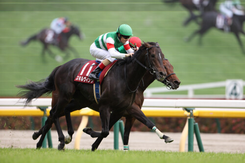 JRA日本ダービー「4強対決なら武豊が勝つ!」 アドマイヤベガの奇跡でわかるレジェンドジョッキーの勝負強さの画像2