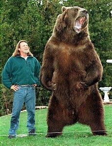 一撃で顔面が崩壊するクマの殺傷能力を医学的に解説! 初撃は「左のビンタ」が圧倒的に多い、素手でクマを倒す方法も紹介=亜留間次郎の画像4