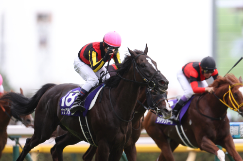 競馬史に残る2億円事件 宝塚記念で一攫千金を獲得したミラクルおじさんとは?の画像3