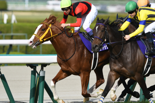 宝塚記念はウマ娘も勢ぞろい! サイレンススズカ、ゴールドシップ、グラスワンダーら名馬の宝庫、最強馬イクイノックスとノーマーク穴馬情報の画像3