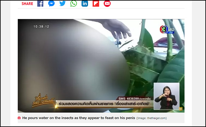 アリの巣に男性器を突っ込んでED治療? タイのあまりにも危険すぎる民間療法… 世界の変態図鑑(3)の画像2
