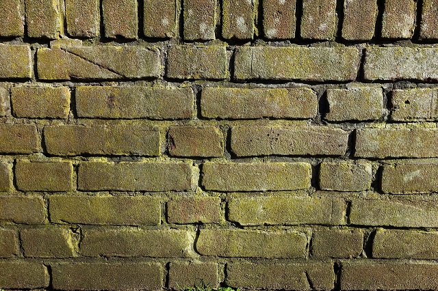 心霊体験を引き起こす5つの現象! カビが原因の場合も?の画像2