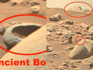 火星で「ドアとボウル」が発見される!? 「NASAは事実を隠蔽」研究家