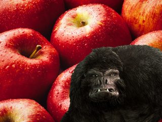 UMA「ビッグフット」にリンゴを与えないと襲われる!? クマよりも大きな獣人が車を破壊