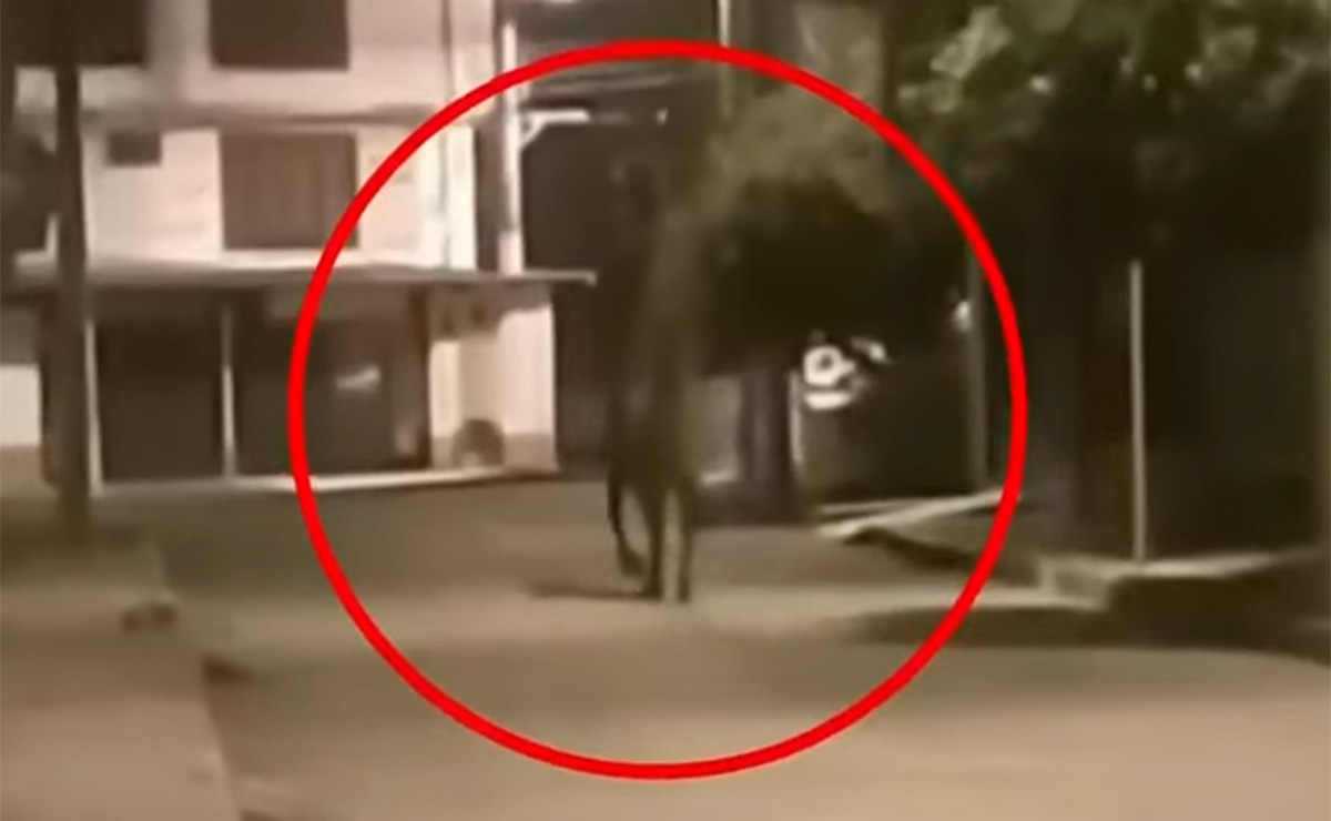 街中を歩く幽霊馬が撮影される!? 「霊に憑依されている可能性」専門家も巻き込む事態に=コロンビアの画像1