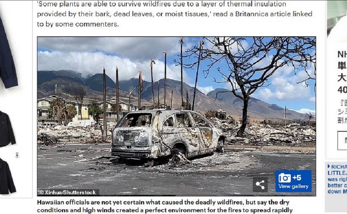 「マウイ島の山火事はレーザー兵器によるもの」 SNSに無関係な画像が流布、トンデモ陰謀論の背景にある1つの真実の画像4